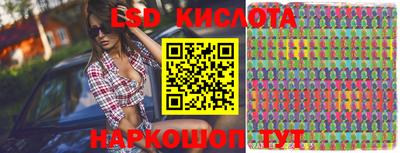 крисы Малгобек
