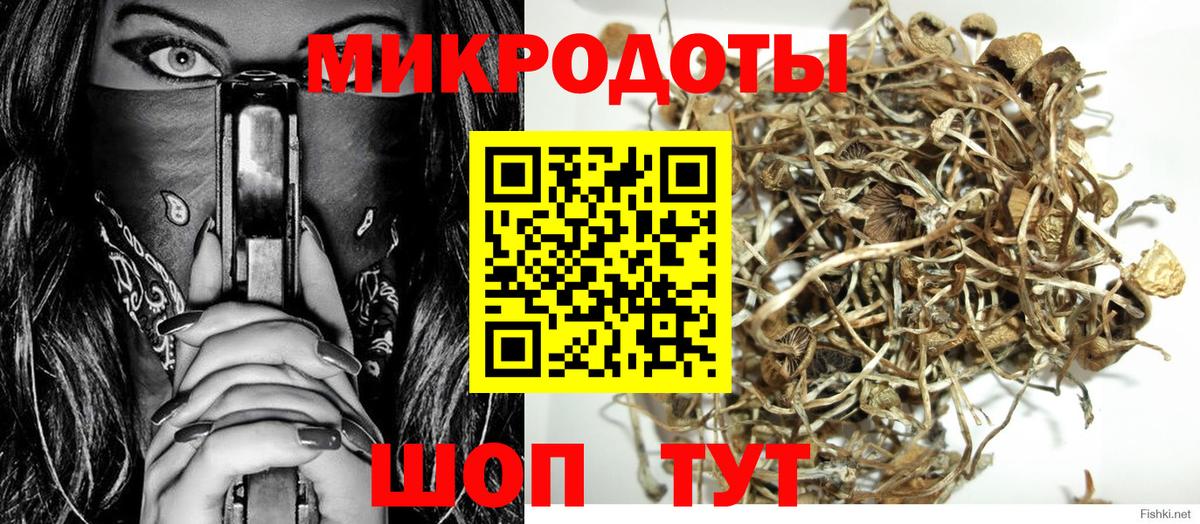 Псилоцибиновые грибы мицелий  Вход с VPN  Вичуга 
