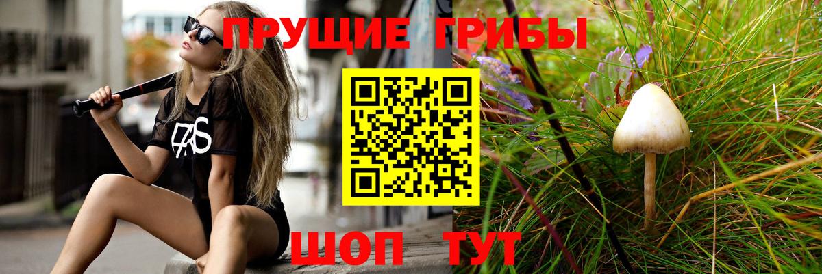 Галлюциногенные грибы GOLDEN TEACHER Вичуга